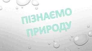 Індивідуальний навчальний план З ПІЗНАЄМО ПРИРОДУ, 5 клас для учнів з ООП, ДРУГА ГРУПА ПІДТРИМКИ