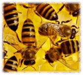 0801dt87-dd9b-168x151.png