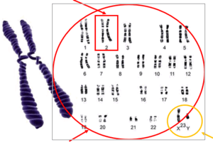 0801dtfc-ec20-300x200.png