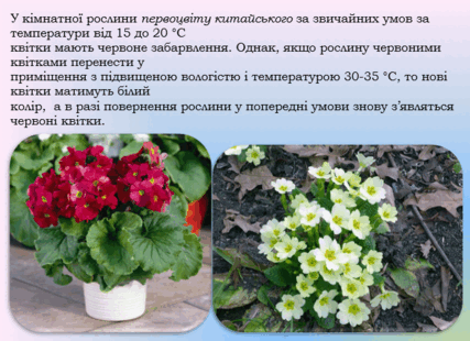 0801dtgf-7e45-427x310.png