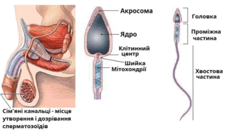 0801dtps-fac4-324x192.png