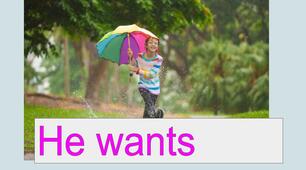 Презентація на відпрацювання дієслів like love enjoy want would like
