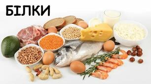 Білки