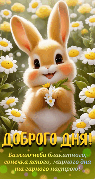 0801dvmj-7a58-309x579.png