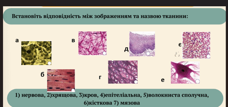 0801dyl2-4f9c-759x357.png
