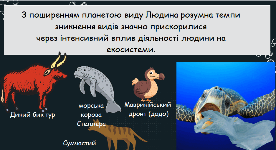 0801dznc-88bd-937x511.png