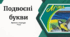 Подвоєні букви