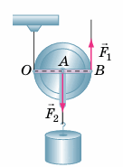 0801dzo0-864a-136x185.png