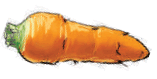 0801e0y9-fa9e-157x79.png