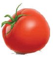 0801e0yc-ad2b-108x118.png
