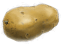 0801e0yd-d044-119x87.png