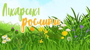 Дидактична гра "Цілющі рослини"