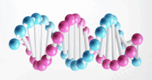 0801e3gw-d059-218x115.png