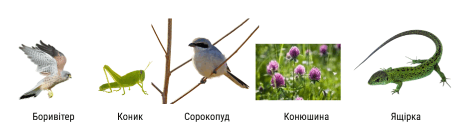 0801e77n-ed5e-940x264.png