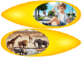 0801e9gm-96e4-116x80.png