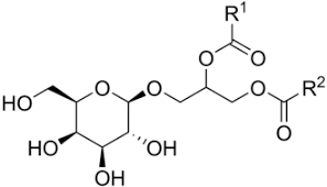 0801eccg-b3d7-297x170.png