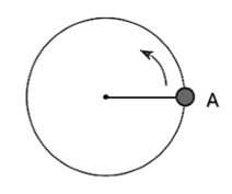 0801egug-ee33-212x177.png