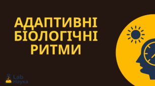 Адаптивні біологічні ритми