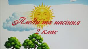 Презентація до теми "Плоди та насіння". ЯДС 2 клас (за програмою О. Я. Савченко)