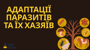Адаптації паразитів та їх хазяїв
