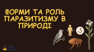 Форми та роль паразитизму в природі