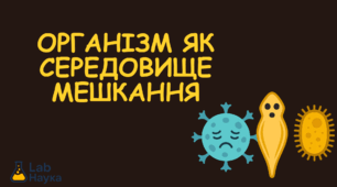 Організм як середовище мешкання