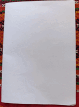 0801eop0-5761-160x217.png
