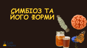 Симбіоз та його форми