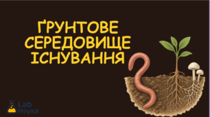 Ґрунтове середовище існування