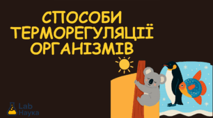 Способи терморегуляції організмів