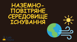 Наземно-повітряне середовище існування