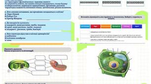 Діагностична контрольна робота 📚👩‍🏫 Тема: «Клітина — структурно-функціональна одиниця організмів. Прокаріоти» 7 клас (підручник Балан) з відповідями для вчителя. За 3 групами результатів🧪🌿