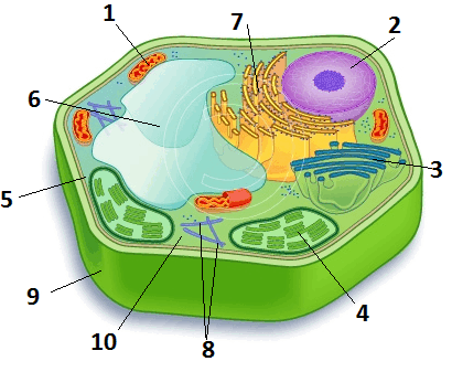 0801euf6-ba1b-410x337.png
