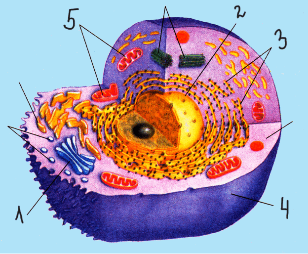 0801ex15-00a4-624x514.png