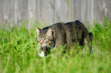 0801exr2-c454-111x73.png