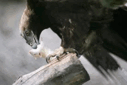 0801exre-f4b3-127x85.png