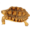 0801ey9e-095e-102x102.png