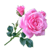 0801ey9p-72b2-100x100.png
