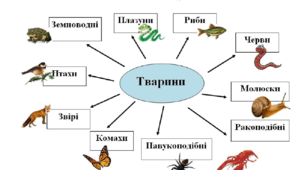 Папочка-підказочка "Тварини "