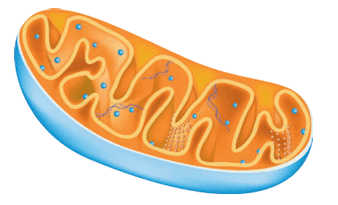 0801eyhm-d82c-338x205.png