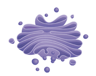 0801eyik-2187-337x267.png