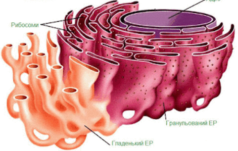 0801eykw-f763-471x299.png