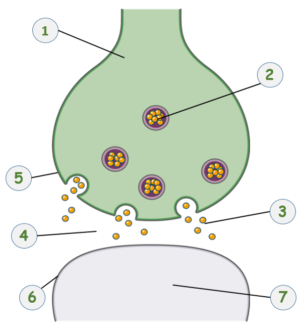 0801f02a-8b57-605x649.png