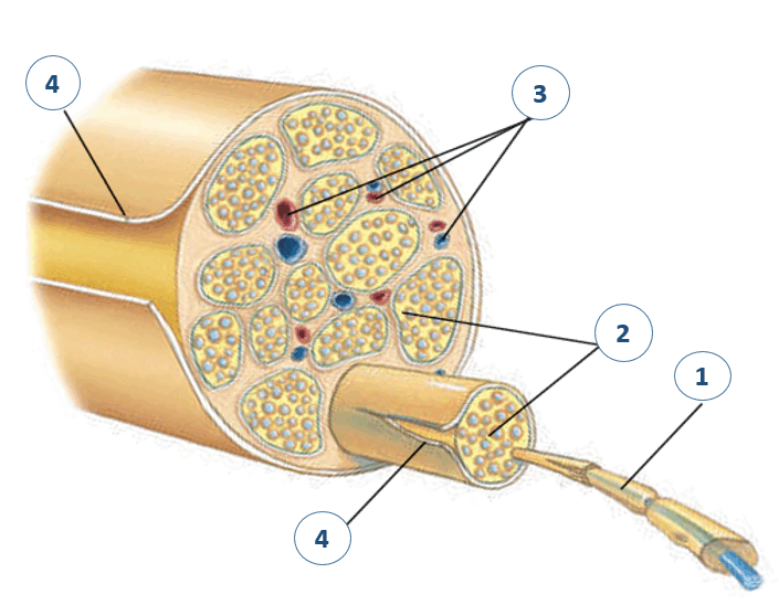 0801f090-42f6-705x548.png