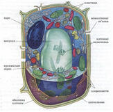 0801f7ai-2984-211x209.jpg