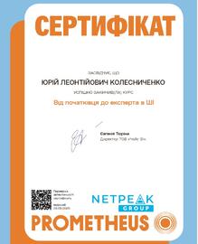  Від початківця до експерта в ШІ
