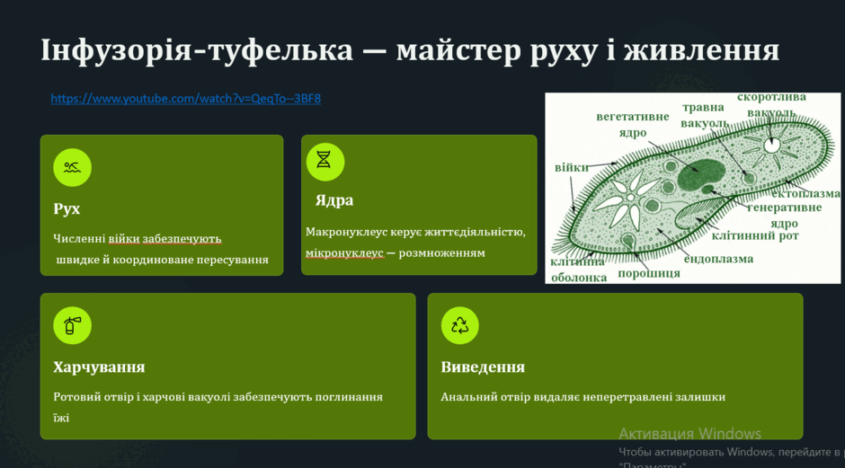 0801fb1x-a8cc-940x521.png