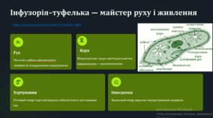 Особливості організації клітин одноклітинних евкаріотів.  Одноклітинні евкаріоти – мешканці прісних (на прикладі евглени зеленої та інфузорії-туфельки) та морських (на прикладі форамініфер) водойм.