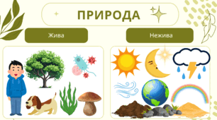 Жива і нежива природа