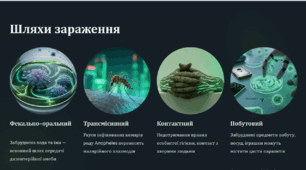 Паразитичні одноклітинні евкаріоти (на прикладі дизентерійної амеби, малярійного плазмодія). Профілактика паразитарних (інвазійних) захворювань людини.